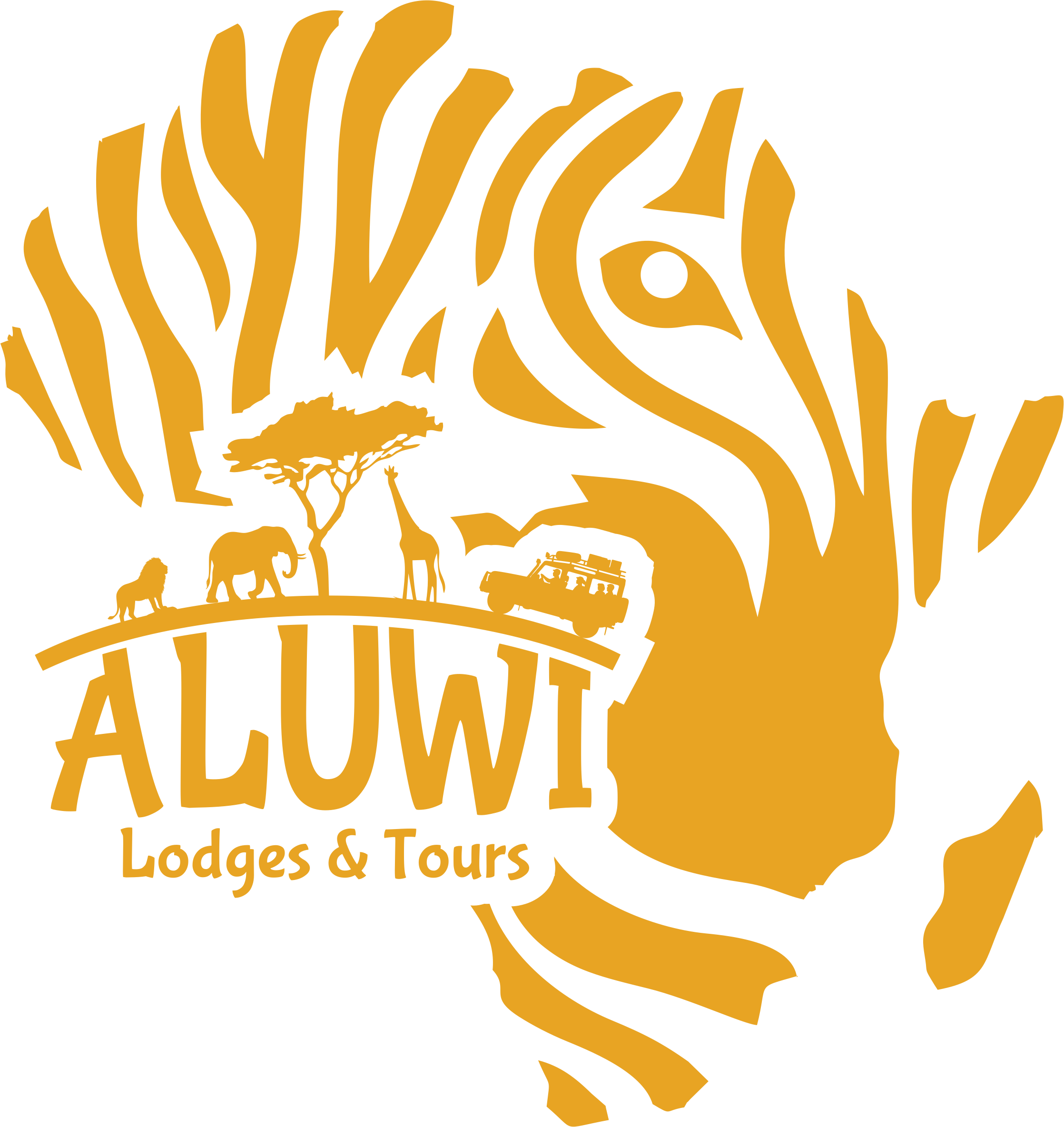 Aluwi Lodges & Tours